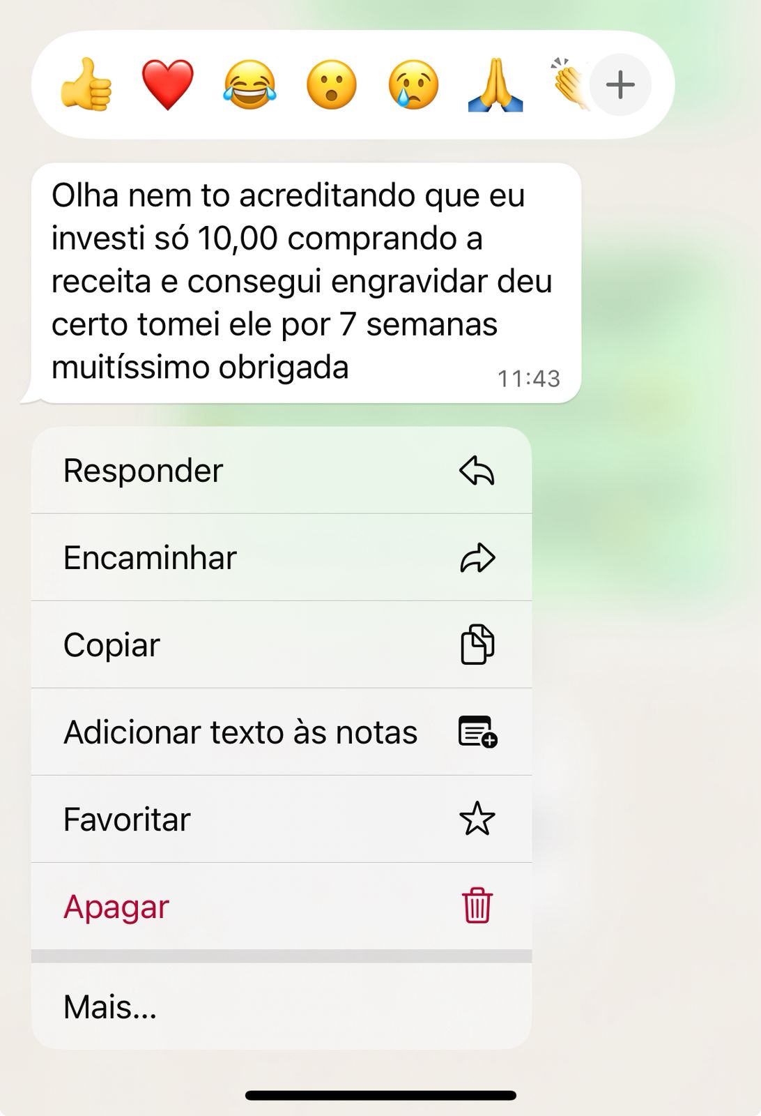 WhatsApp Image 2025-07-26 at 11.44.00